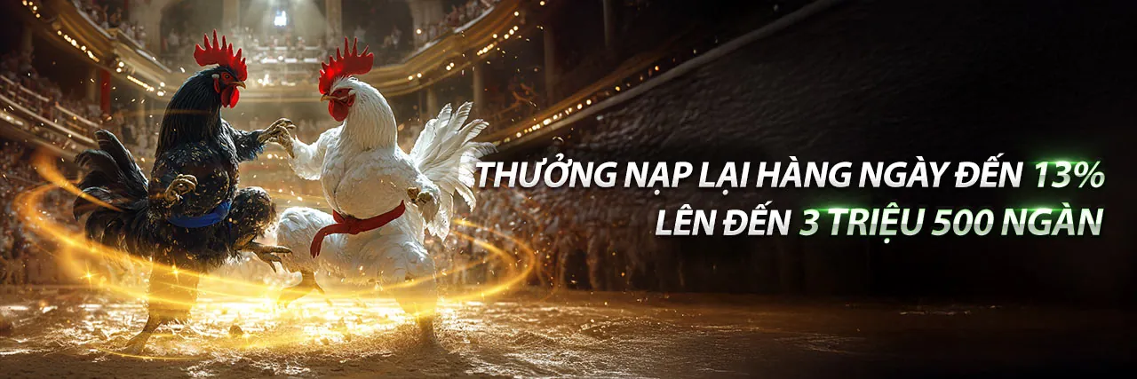 Hình ảnh chính blog gacam677 win